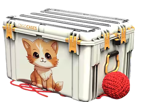 Banner Box Gatinho